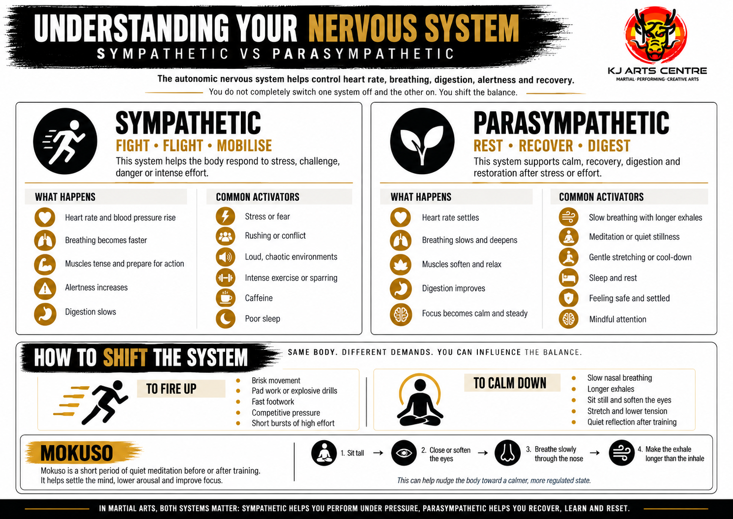 Why KJ Martial Arts Can Help Build Confidence, Focus and Self-Regulation for Neurodiversity
